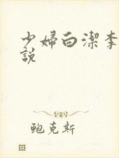 少妇白洁李明小说