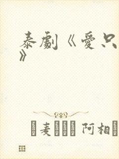 泰剧《爱只一次》