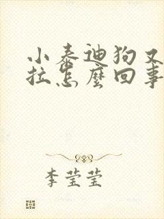 小泰迪狗又吐又拉怎么回事