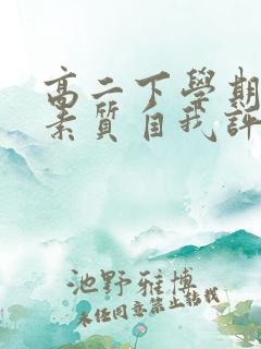 高二下学期综合素质自我评价500字