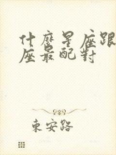 什么星座跟射手座最配对