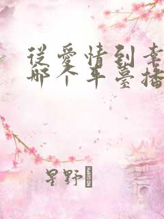 从爱情到幸福在哪个平台播出