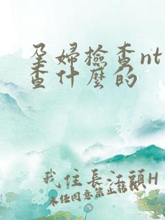 孕妇检查nt是查什么的