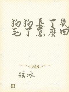 狗狗长了几根白毛了怎么回事