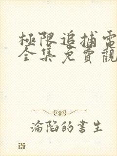 极限追捕电视剧全集免费观看