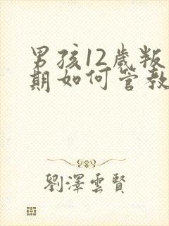 男孩12岁叛逆期如何管教