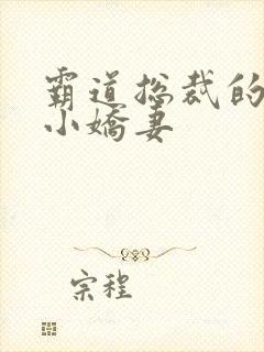 霸道总裁的狐狸小娇妻