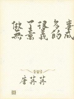 做了很多事但毫无意义的成语