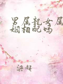 男属龙女属马婚姻相配吗