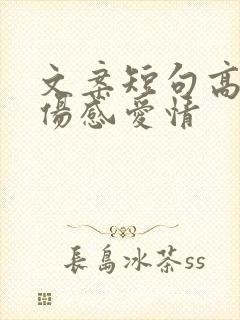 文案短句高质量伤感爱情