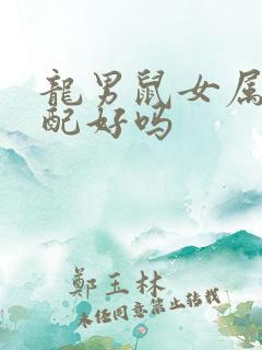 龙男鼠女属相婚配好吗