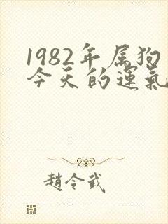 1982年属狗今天的运气好不好