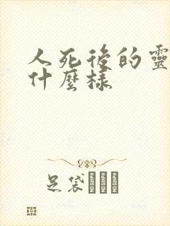 人死后的灵魂长什么样