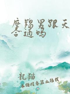 摩羯男跟天秤女合适吗