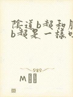 阴道b超和腹部b超是一样吗