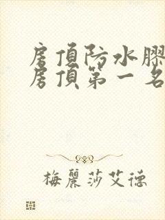 房顶防水胶补漏房顶第一名