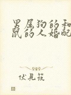 男属狗的和女属鼠的人婚配好不好