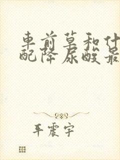 车前草和什么搭配降尿酸最好