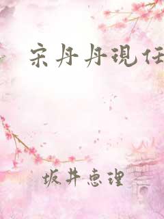 宋丹丹现任丈夫