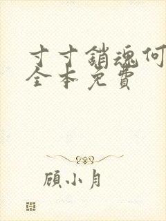 寸寸销魂何生祥全本免费