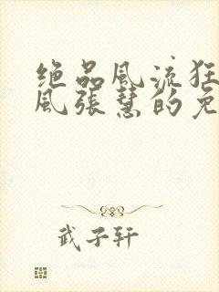 绝品风流狂医林风张慧的免费阅读