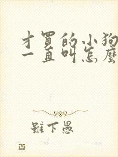 才买的小狗晚上一直叫怎么办