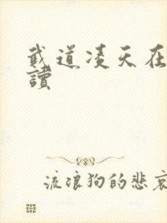 武道凌天在线阅读