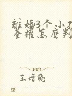 离婚3个小孩抚养权怎么判