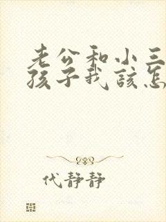 老公和小三有了孩子我该怎么办