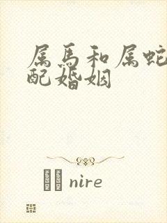 属马和属蛇配不配婚姻