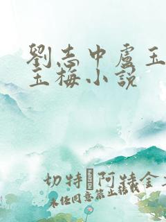 刘志中卢玉清卢玉梅小说