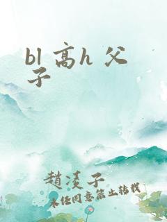 bl 高h 父子