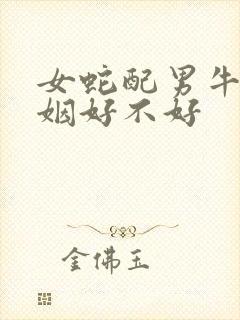 女蛇配男牛的婚姻好不好