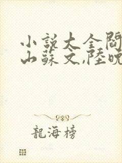 小说大全阎王下山苏文,陆晚风