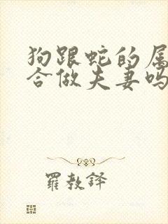 狗跟蛇的属相适合做夫妻吗