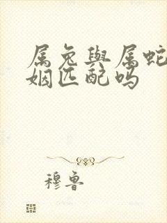 属兔与属蛇的婚姻匹配吗