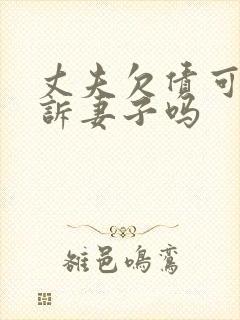 丈夫欠债可以起诉妻子吗