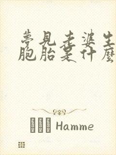 梦见老婆生了双胞胎是什么意思