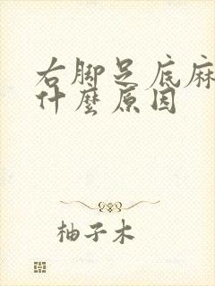 右脚足底麻木是什么原因