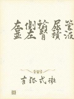 左侧输尿管结石并左肾积液