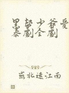 黑帮少爷爱上我泰剧全剧