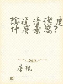 阴道清洁度二度什么意思?