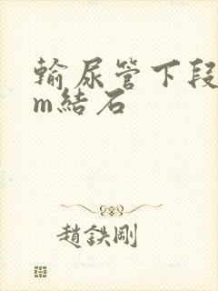 输尿管下段8mm结石