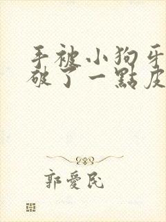 手被小狗牙齿划破了一点皮流血怎么办