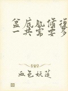 盆底肌修复大约一共需要多少钱