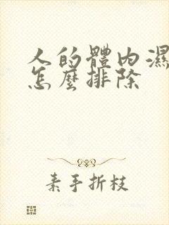 人的体内湿气重怎么排除