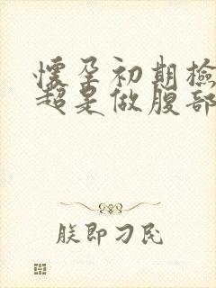 怀孕初期检查b超是做腹部的还是阴道的b超