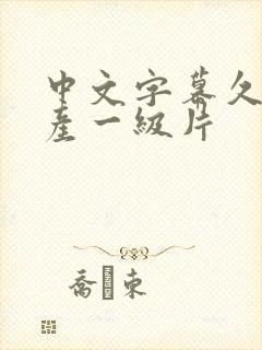 中文字幕久久国产一级片