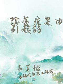 阴唇疣是由什么引起的