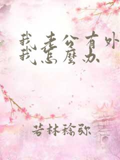 我老公有外遇了我怎么办